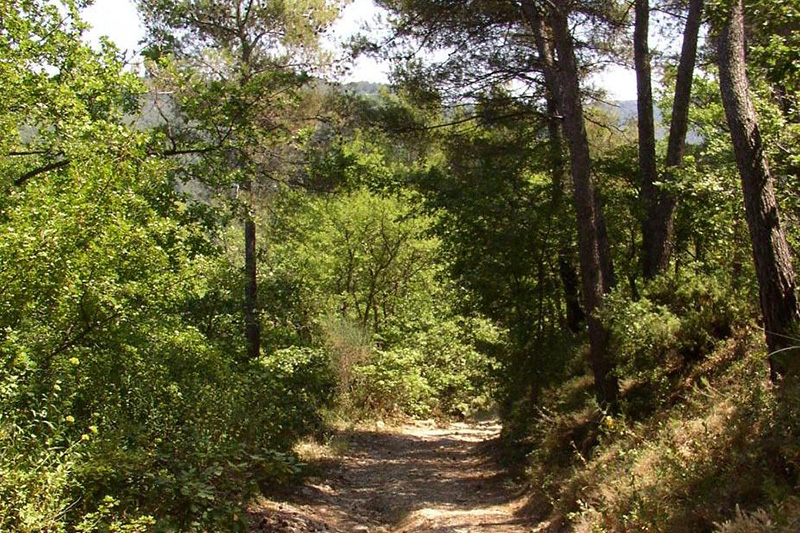 Sentier de randonnée